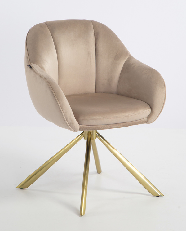 HOKER HR2055 LATTE WELUR ZŁOTY PAJĄK