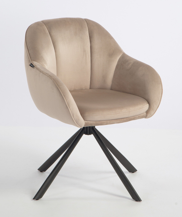 HOKER HR2055 LATTE WELUR CZARNY PAJĄK