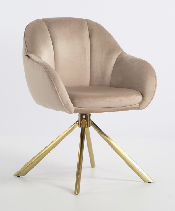 HOKER HR2055 LATTE WELUR ZŁOTY PAJĄK