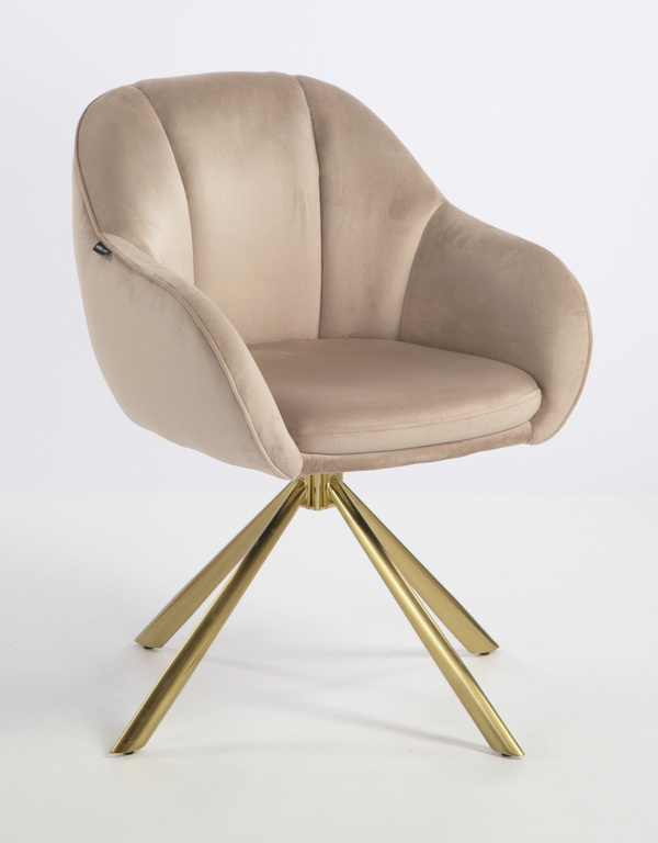 HOKER HR2055 LATTE WELUR ZŁOTY PAJĄK