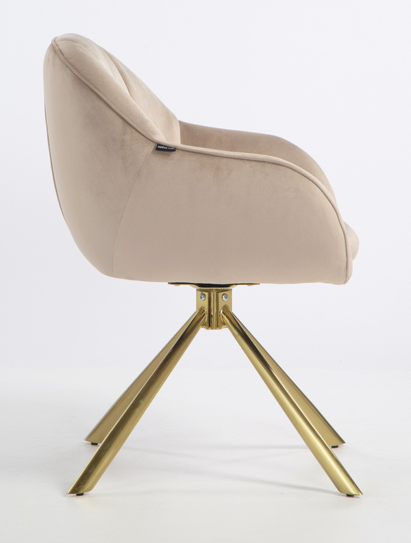 HOKER HR2055 LATTE WELUR ZŁOTY PAJĄK